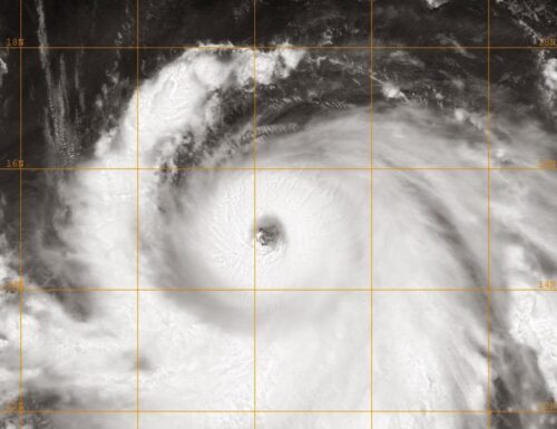 Tracking Typhoon Halong